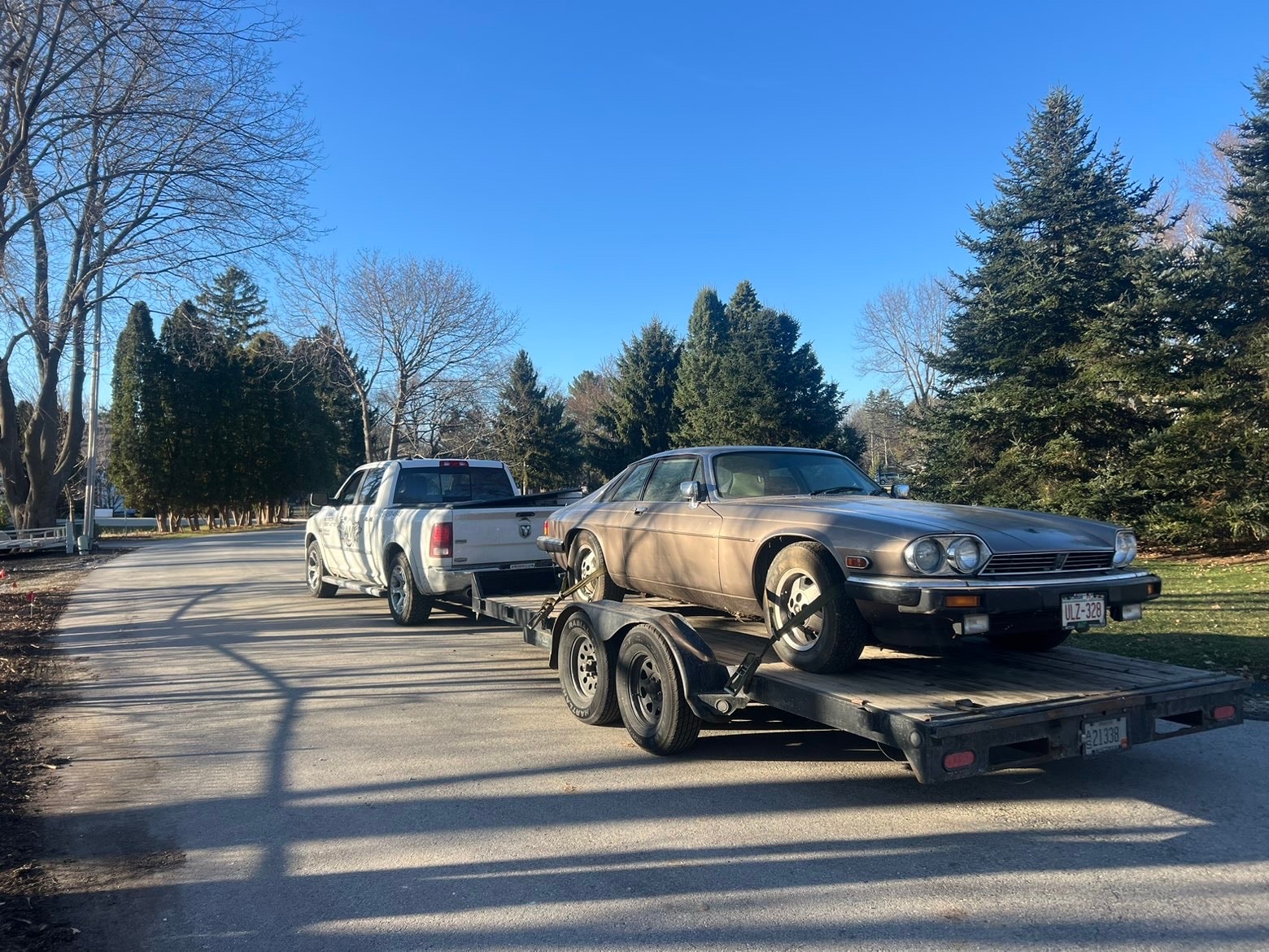Specialty Transport